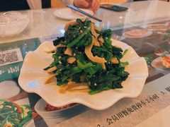 -新疆兵团食府清真(马连道店)