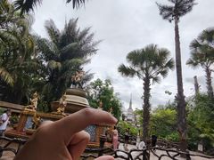 -曼听御花园