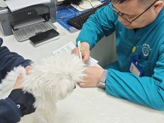 -中农国际动物医院24小时·猫科·骨科·急重症中心