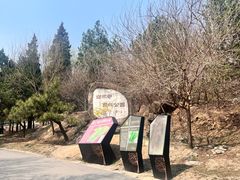 -白水寺森林公园