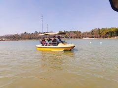 -上海海湾国家森林公园