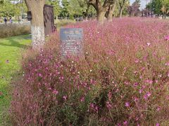 -汉长安城未央宫国家考古遗址公园