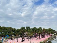-苏州太湖西山岛开心农场
