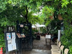-Fern Forest Cafe