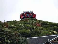 -贵州百里杜鹃风景名胜区
