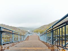 -大青山野生动物园