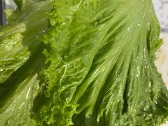 -汉城烧烤(西稍门劳动路店)