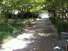 android_upload_pic-蠡湖中央公园