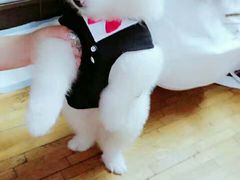-赢吧Bliss音乐酒吧