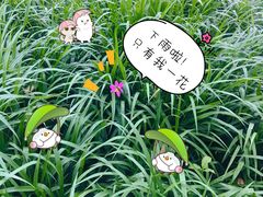 -重庆彩云湖湿地公园