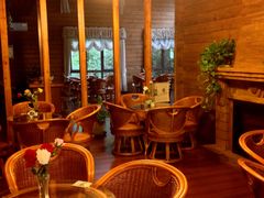 -合肥滨湖国家森林公园