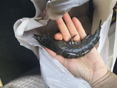 -南沙十九涌渔人码头-南门