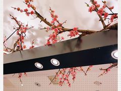 -老板恋上鱼(荣盛广场店)