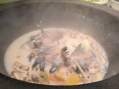 -鲜潭蒸汽石锅鱼(五道口购物中心店)
