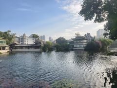 -荔湾湖公园