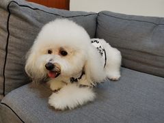 -江海酒家(赤岗店)