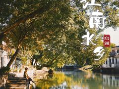 -乌镇景区