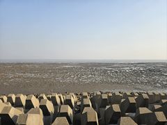 -奉贤海滩