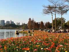 -顺峰山公园