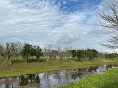 -上海海湾国家森林公园