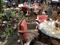 -Fern Forest Cafe