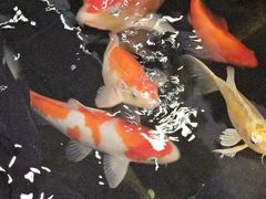 -北京鹏龙瑞星奔驰4s店(来广营店)