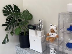 -三只熊皮肤管理中心旗舰店