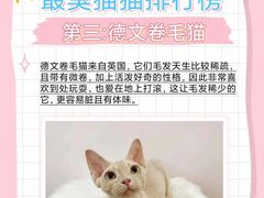 -美联众合动物医院·24h转诊中心