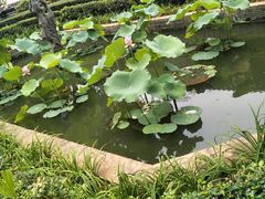 -东莞市可园博物馆