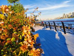 -北外滩滨江绿地