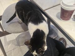 -Peet's Coffee皮爷咖啡(豫园店)