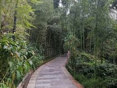 -龙头寺公园