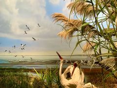 -中国湿地博物馆