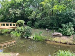 -沈阳鸟岛