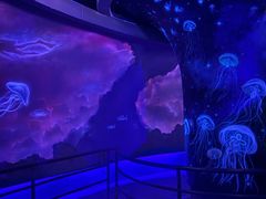 -大连圣亚海洋世界
