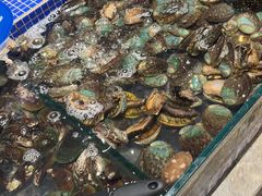 -丰卓会海鲜自助(中润大道店)