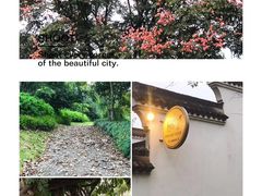 -日出青木·杭帮菜名店