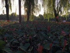 -西安汉城湖景区