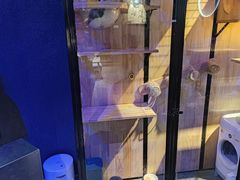 -瞳·实景密室逃脱(护国店)