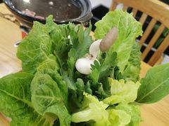 -素清香(解放路店)
