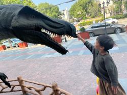 -宝燕乐园(闵行旗舰店)