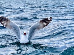 -丽江泸沽湖景区