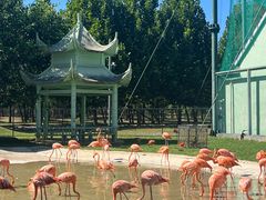 -秦皇岛野生动物园