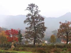 -塔川景区