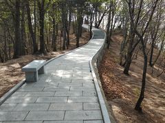 -六里坪国家森林公园
