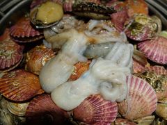 -东海章鱼馆(恒瑞街店)