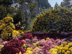 -南山植物园