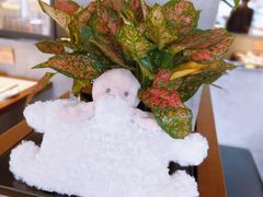 -九府羊·鲜羊火锅·烤串(新华路店)