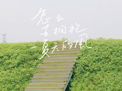 -良渚古城遗址公园