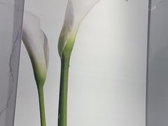 -福奈特洗衣洗鞋(海阳路店)